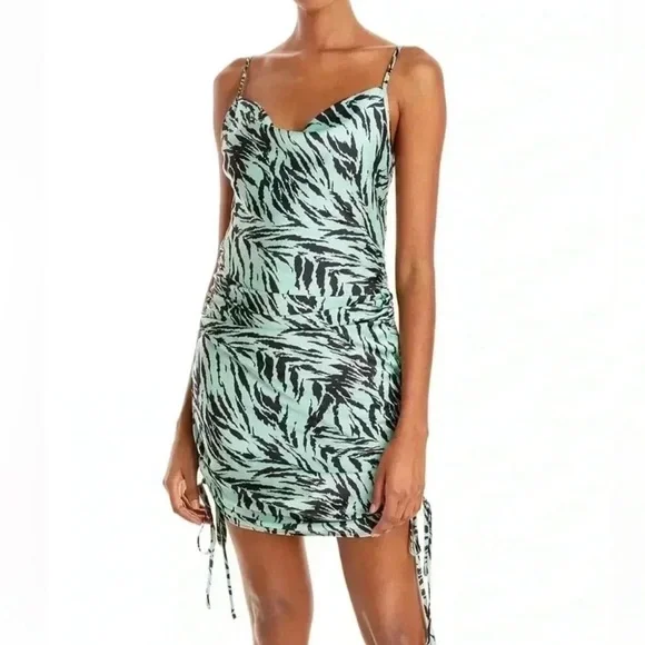 Wayf | Dresses | Wayf Sea Mint Green Tiger Print Satin Cowl Neck Mini Slip  Dress Ruched Sides Sm | Poshmark